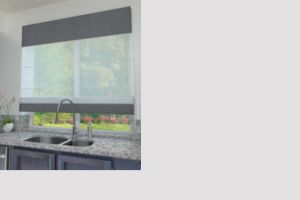 Roman Blinds - Voile